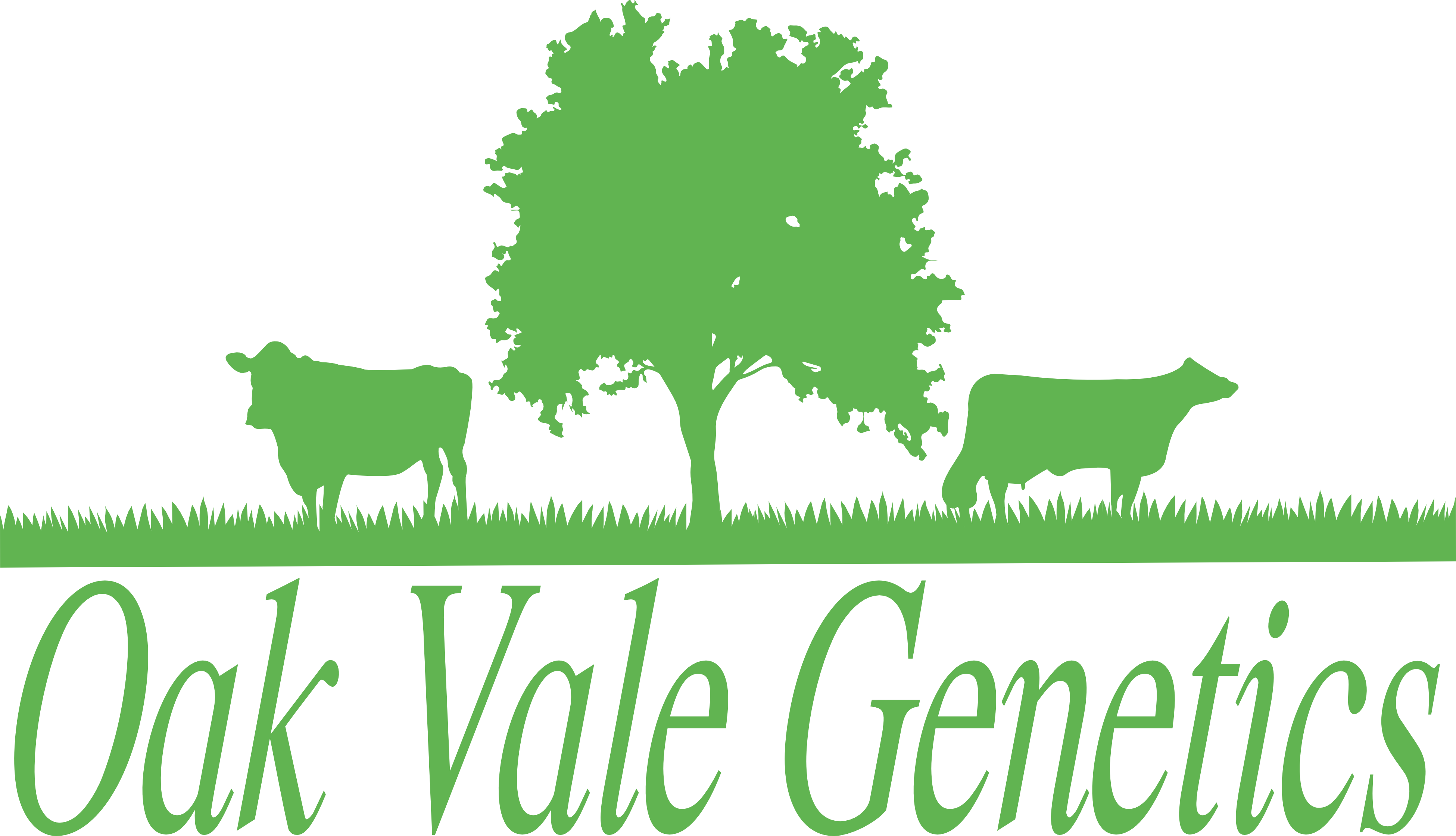 Oak Vale Genetics